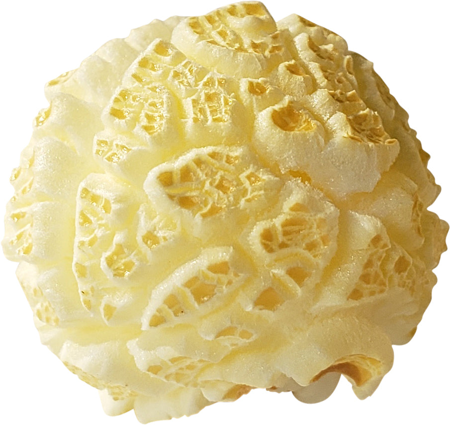 Six Pack of 1lb Mushroom and Butterfly Shaped Unpopped Popcorn Kernels Half Mushroom, Half Butterfly