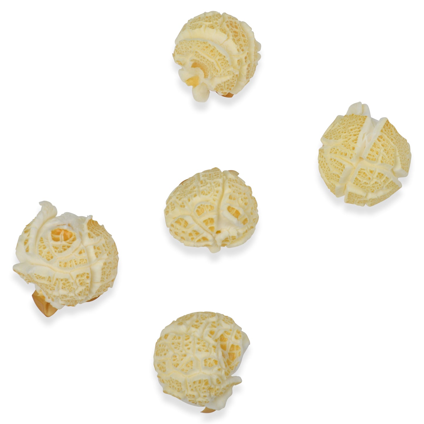 6lbs (Pack of 3 2lb) Mushroom Popcorn Kernels Princeton Popcorn Farmer Direct, Non-GMO, Gluten Free, Ball Shaped, Popcorn Pops Extra Large popcorn kernels, Stovetop Oil Pop