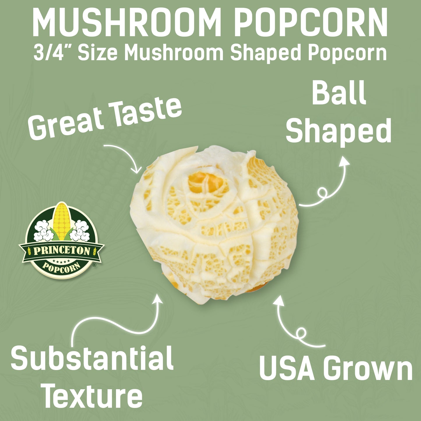 6lbs (Pack of 3 2lb) Mushroom Popcorn Kernels Princeton Popcorn Farmer Direct, Non-GMO, Gluten Free, Ball Shaped, Popcorn Pops Extra Large popcorn kernels, Stovetop Oil Pop