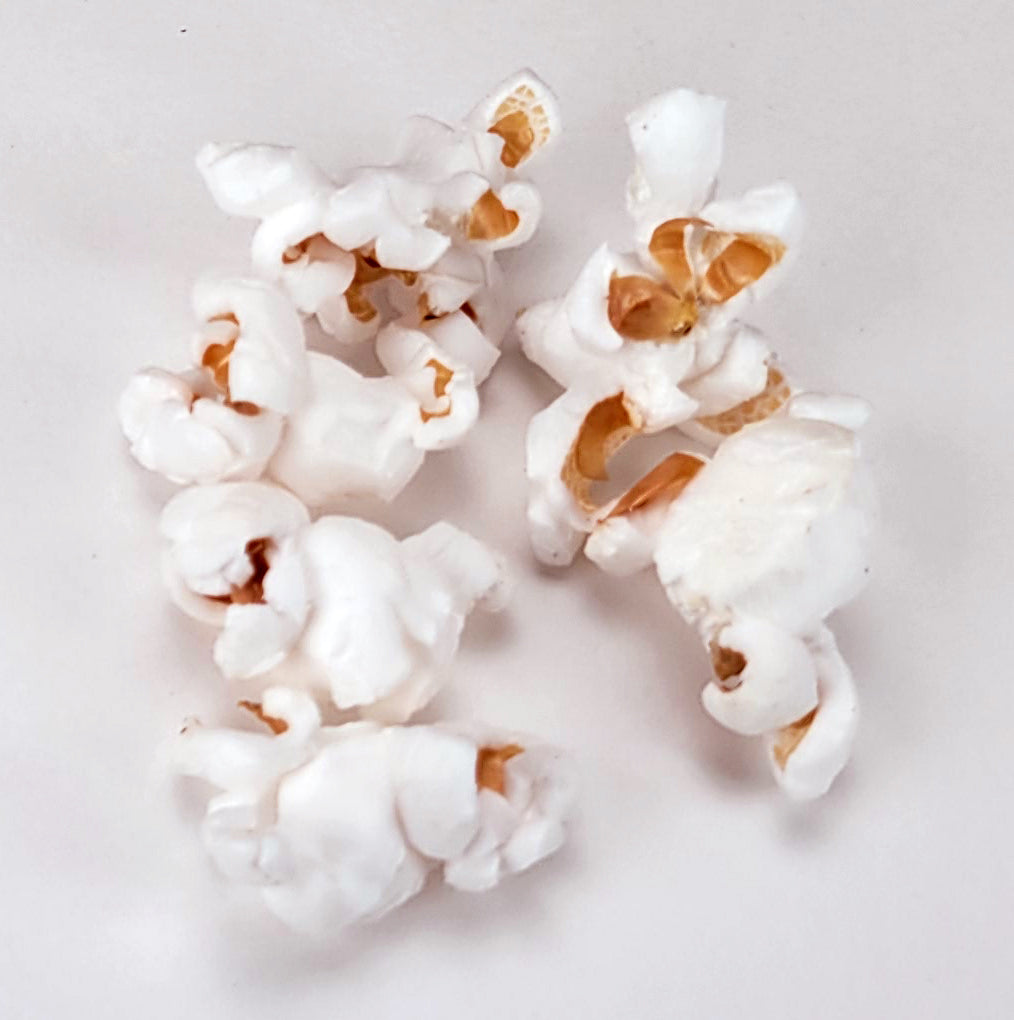 Six Pack of 1lb Mushroom and Butterfly Shaped Unpopped Popcorn Kernels Half Mushroom, Half Butterfly