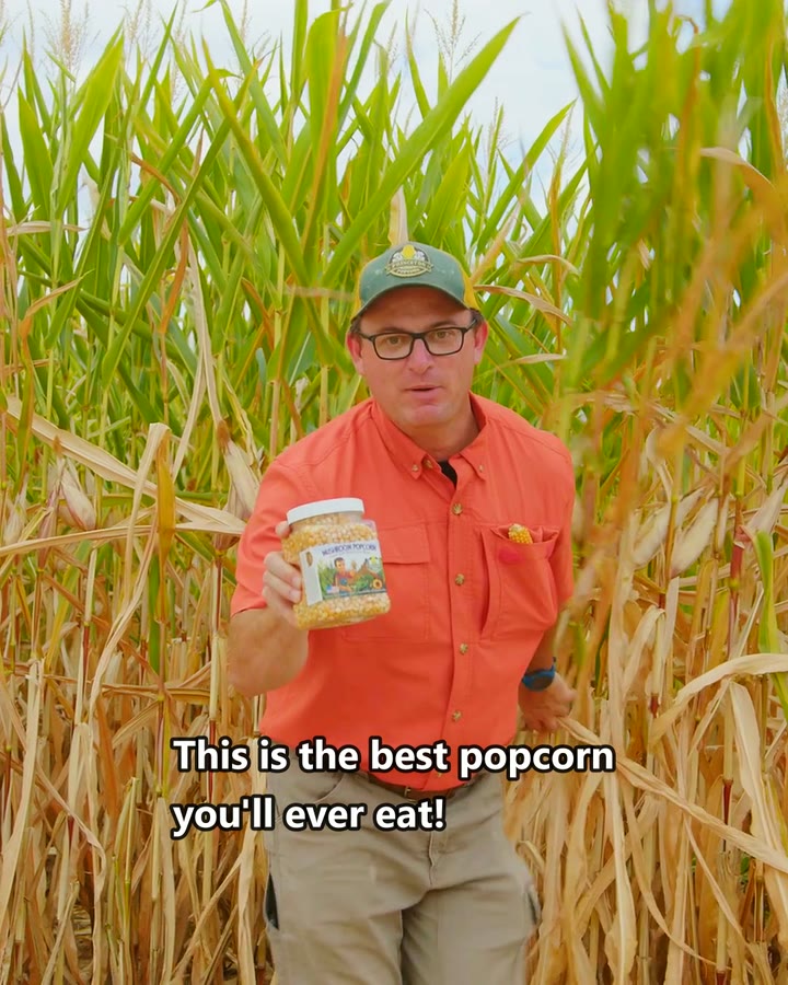 Farmer Bob in his popcorn field holding a jar of Princeton Popcorn