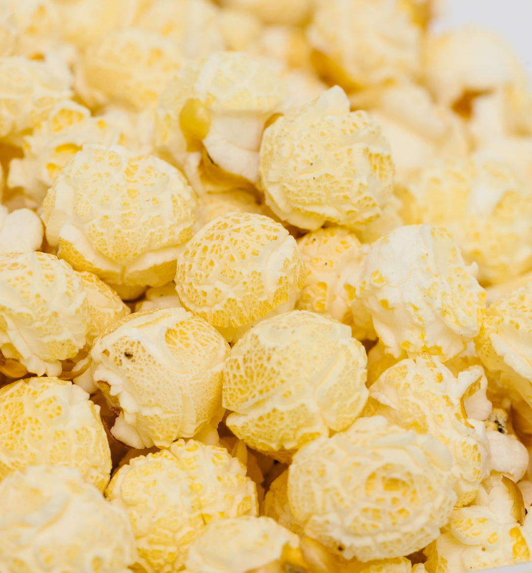 Mushroom Popcorn Kernels