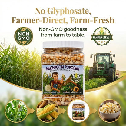 2 libras de granos de palomitas de maíz sin reventar en forma de hongo