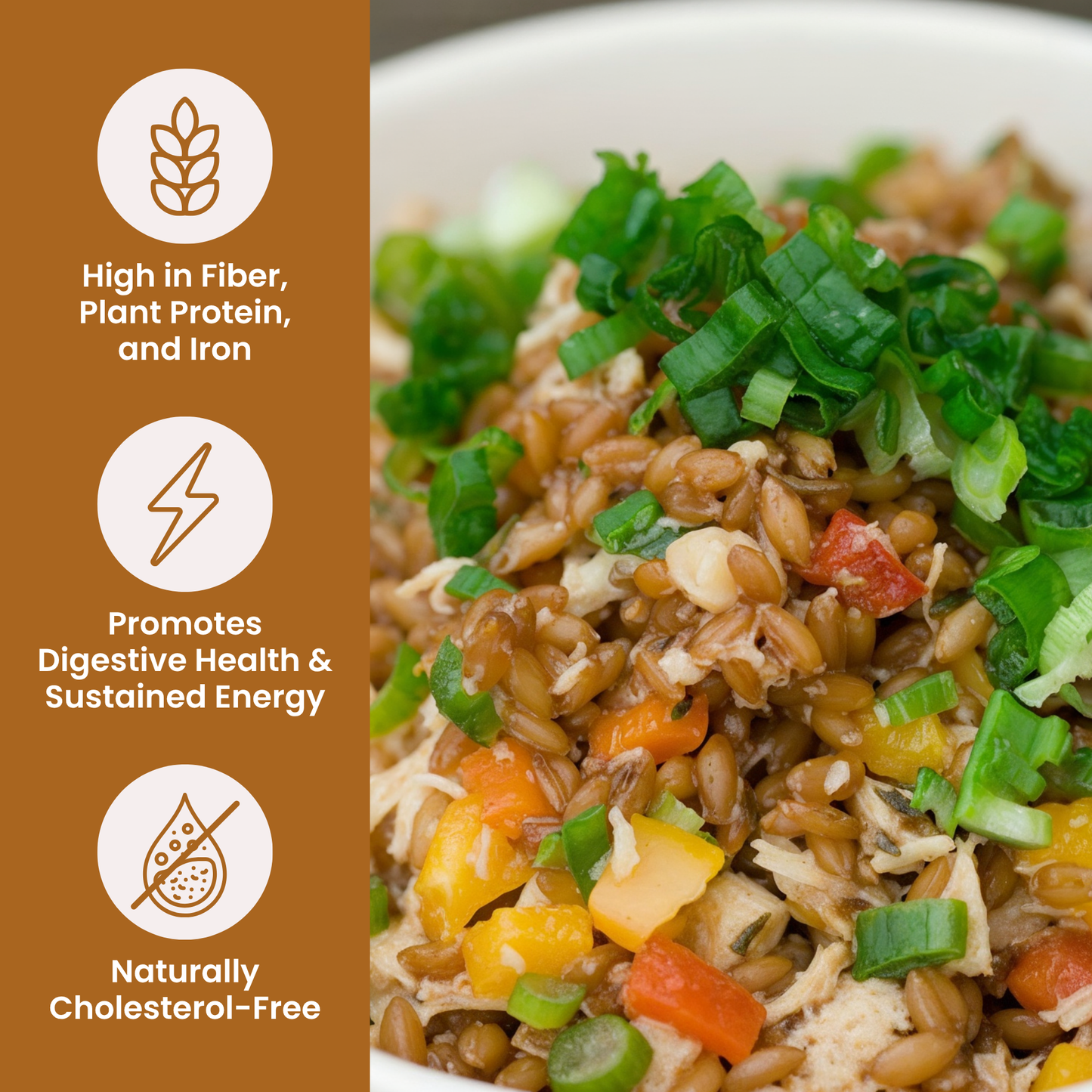 Hard Red Wheat Berries USDA Organic Non-GMO Farmer Bob's