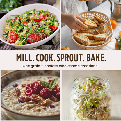 Hard Red Wheat Berries USDA Organic Non-GMO Farmer Bob's